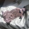 ravennajune